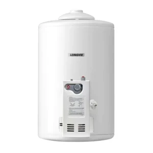 Termotanque Gas Longvie 50 L Pie Y Colgar Poliuretano T5050d Color Blanco