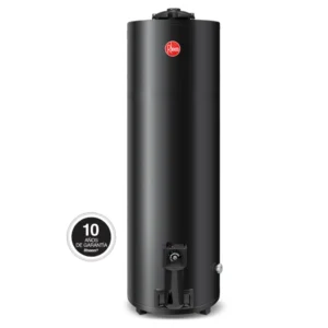 Termotanque Rheem a Gas Natural de Pie 150 L - TGNP150RH