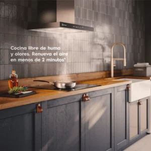Campana Electrolux CE6TF eficiencia